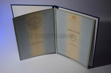 Диплом Университета 2008г в Абакане