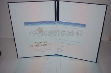 Диплом о Высшем Образовании 2017г СпецБланк в Абакане