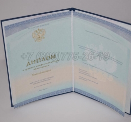 Диплом Колледжа 2022г СпецБланк в Абакане