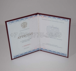 Аттестат За 11 Класс 2022г Золото ГОЗНАК в Абакане