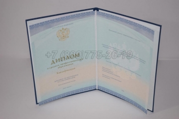 Диплом Техникума 2022г СпецБланк в Абакане
