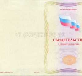 Свидетельство о Профессии Рабочего "Автоклавщик литья под давлением" в Абакане