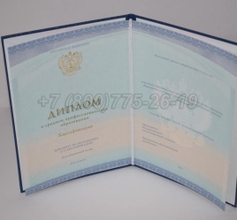 Диплом Колледжа 2024г СпецБланк в Абакане