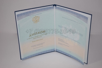 Диплом Колледжа 2024г СпецБланк в Абакане
