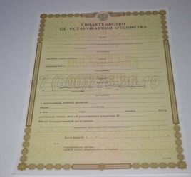 Свидетельство об Установлении Отцовства 2019г в Абакане