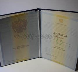 Диплом Института 2010г в Абакане
