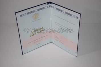 Диплом Бакалавра 2025г ГОЗНАК в Абакане