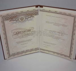 Диплом Интернатуры 2014г в Абакане
