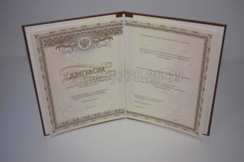 Диплом Интернатуры 2014г в Абакане