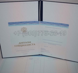 Диплом о Высшем Образовании 2024г СпецБланк в Абакане