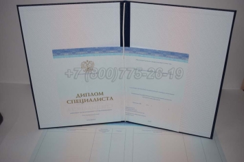 Диплом о Высшем Образовании 2024г СпецБланк в Абакане